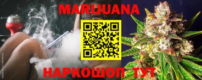 прущие грибы Сланцы
