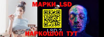 прущие грибы Сланцы