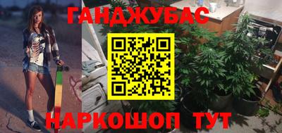 прущие грибы Сланцы