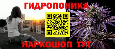 прущие грибы Сланцы